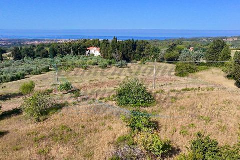 Villa i Rosignano Marittimo, Livorno, Rosignano Marittimo - € 385.000 | Ref: 1872 - foto 8