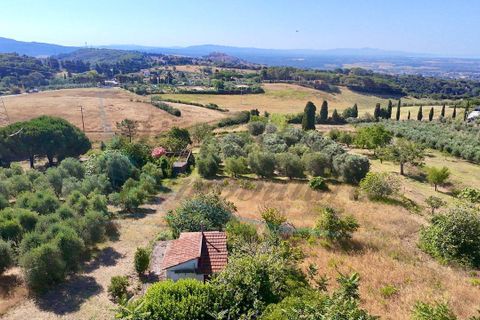 Villa i Rosignano Marittimo, Livorno, Rosignano Marittimo - € 385.000 | Ref: 1872 - foto 10