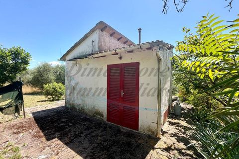 Villa i Rosignano Marittimo, Livorno, Rosignano Marittimo - € 385.000 | Ref: 1872 - foto 13