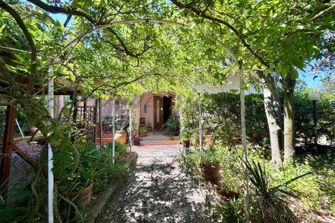Villa i Rosignano Marittimo, Livorno, Rosignano Marittimo - € 385.000 | Ref: 1872 - foto 27