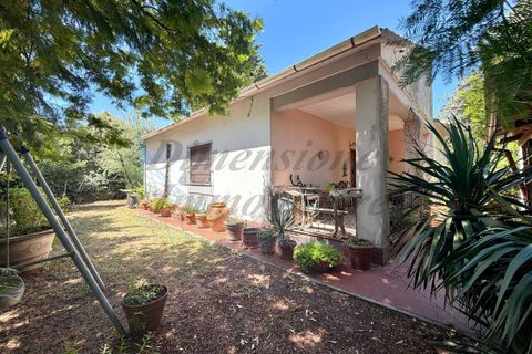 Villa i Rosignano Marittimo, Livorno, Rosignano Marittimo - € 385.000 | Ref: 1872 - foto 30