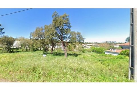Helårsgrund i Batalha, Leiria, Batalha - € 47.500 | Ref: CV11010-162 - foto 3