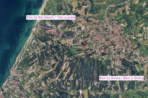 Helårsgrund i Sintra, Lisbon, Sintra - € 210.000 | Ref: KWPT-034808 - foto 3