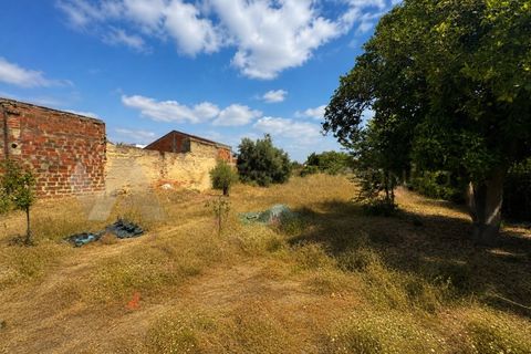 Villa i Almeirim, Santarem, Almeirim - € 450.000 | Ref: CAS_163 - foto 40