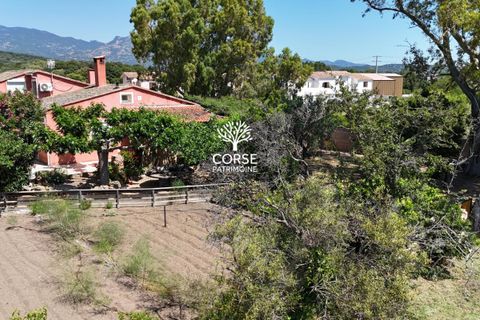 Villa i Porto-Vecchio, Corse-du-Sud, Porto-Vecchio - € 848.000 | Ref: 3046 - foto 26