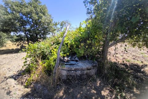 Villa i Guarda, Guarda, Guarda - € 850.000 | Ref: HAB_499 - foto 49