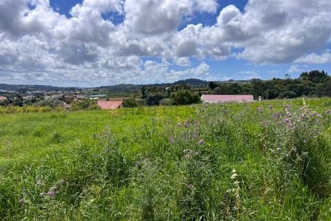 Helårsgrund i Alcobaca, Leiria, Alcobaca - € 85.000 | Ref: PAR_83 - foto 3