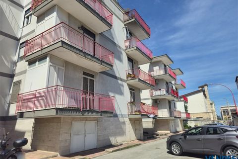 Apartament a Bari, Bari, Bari - € 700/mes | Ref: LRD-833 - foto 5