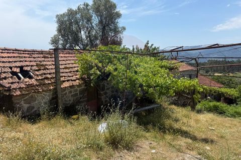 Villa i Arcos de Valdevez, Viana do Castelo, Arcos de Valdevez - € 41.500 | Ref: 1020-51 - foto 9