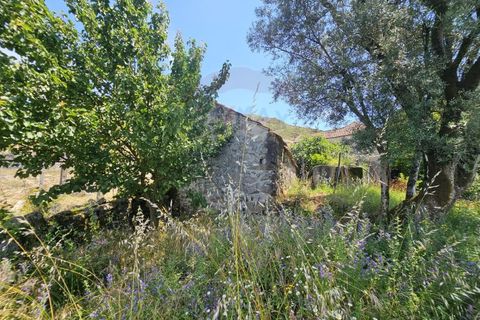 Villa i Arcos de Valdevez, Viana do Castelo, Arcos de Valdevez - € 41.500 | Ref: 1020-51 - foto 12