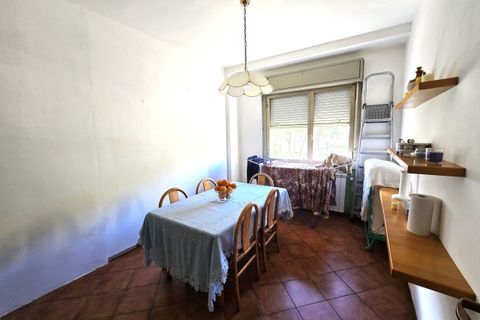 Estudi a Rome, Rome, Rome - € 320/mes | Ref: Serpentara_stanza - foto 7