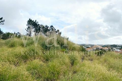 Helårsgrund i Belas, Lisbon, Belas - € 2.900.000 | Ref: W5245 - foto 5