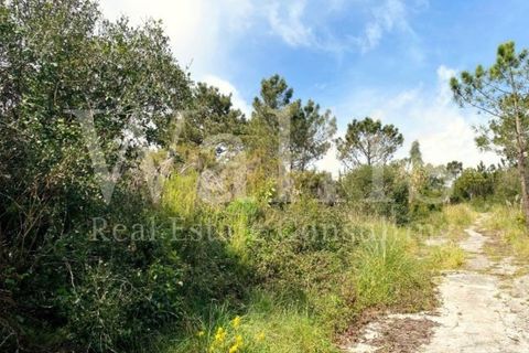 Helårsgrund i Belas, Lisbon, Belas - € 2.900.000 | Ref: W5245 - foto 7