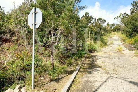 Helårsgrund i Belas, Lisbon, Belas - € 2.900.000 | Ref: W5245 - foto 9