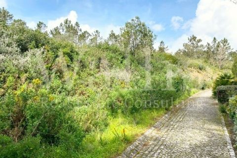Helårsgrund i Belas, Lisbon, Belas - € 2.900.000 | Ref: W5245 - foto 11