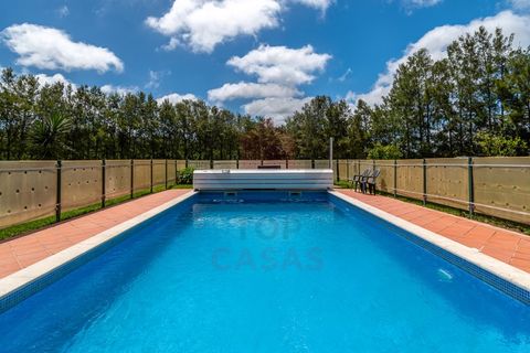 Villa i Obidos, Leiria, Obidos - € 625.000 | Ref: TOP2705 - foto 6