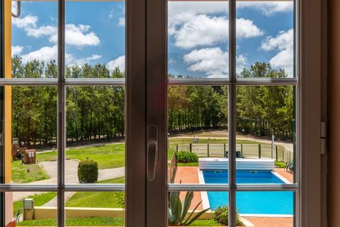 Villa i Obidos, Leiria, Obidos - € 625.000 | Ref: TOP2705 - foto 16