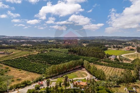 Villa i Obidos, Leiria, Obidos - € 625.000 | Ref: TOP2705 - foto 42