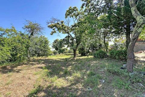 Villa i Venade e Azevedo, Viana do Castelo, Venade e Azevedo - € 225.000 | Ref: 2858 - foto 13