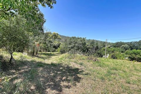 Villa i Venade e Azevedo, Viana do Castelo, Venade e Azevedo - € 225.000 | Ref: 2858 - foto 27