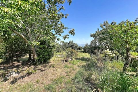 Villa i Venade e Azevedo, Viana do Castelo, Venade e Azevedo - € 225.000 | Ref: 2858 - foto 28
