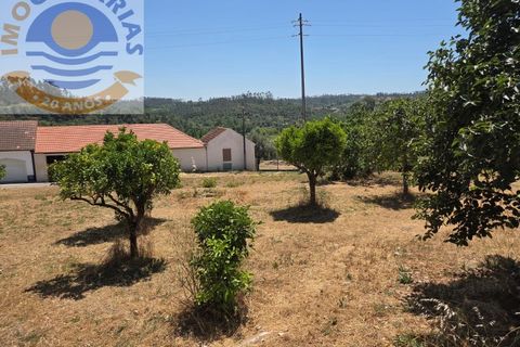 Villa a Gondemaria e Olival, Santarem, Gondemaria e Olival - € 180.000 | Ref: CAS_821 - foto 28