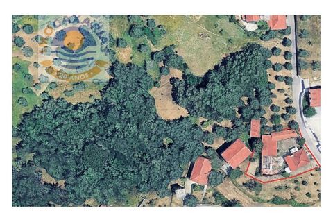 Villa a Gondemaria e Olival, Santarem, Gondemaria e Olival - € 180.000 | Ref: CAS_821 - foto 29