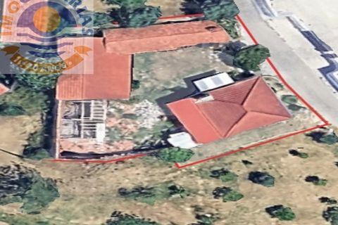 Villa a Gondemaria e Olival, Santarem, Gondemaria e Olival - € 180.000 | Ref: CAS_821 - foto 30