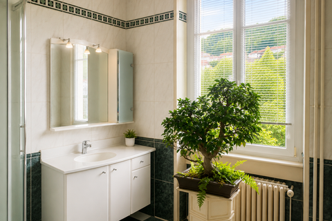 Villa i Epinal, Vosges, Epinal - € 598.000 | Ref: 36274- RACIBOR - foto 16