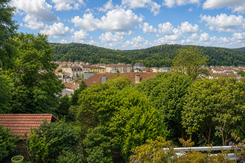 Villa i Epinal, Vosges, Epinal - € 598.000 | Ref: 36274- RACIBOR - foto 23