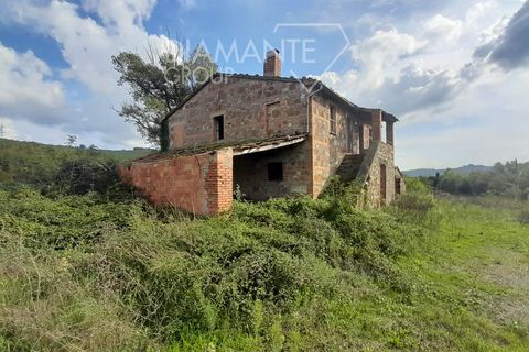 Farm i Proceno, Viterbo, Proceno - € 260.000 | Ref: AZ418 - foto 8