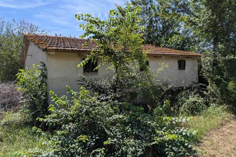 Farm hus i Cortona, Arezzo, Cortona - € 190.000 | Ref: AR6410 - foto 5