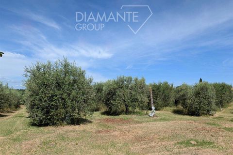 Farm hus i Cortona, Arezzo, Cortona - € 190.000 | Ref: AR6410 - foto 9