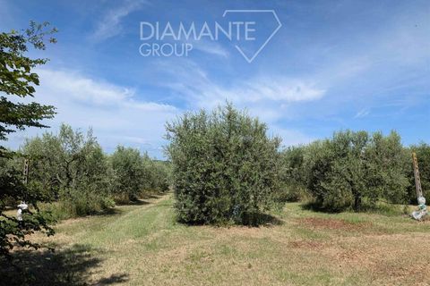 Farm hus i Cortona, Arezzo, Cortona - € 190.000 | Ref: AR6410 - foto 10
