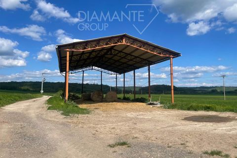 Farm i Valentano, Viterbo, Valentano - € 750.000 | Ref: AZ419 - foto 2