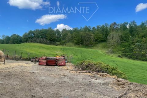 Farm i Valentano, Viterbo, Valentano - € 750.000 | Ref: AZ419 - foto 3
