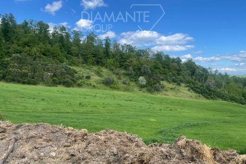 Farm i Valentano, Viterbo, Valentano - € 750.000 | Ref: AZ419 - foto 4