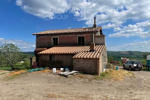 Farm i Valentano, Viterbo, Valentano - € 750.000 | Ref: AZ419 - foto 5
