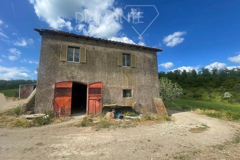 Farm i Valentano, Viterbo, Valentano - € 750.000 | Ref: AZ419 - foto 6
