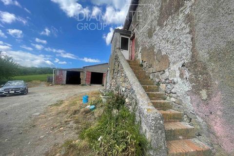 Farm i Valentano, Viterbo, Valentano - € 750.000 | Ref: AZ419 - foto 7