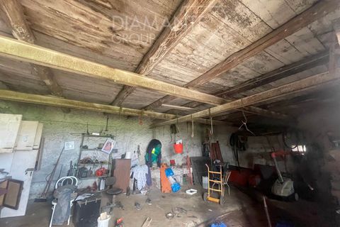 Farm i Valentano, Viterbo, Valentano - € 750.000 | Ref: AZ419 - foto 8