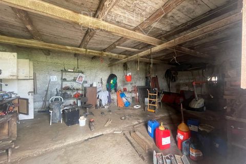 Farm i Valentano, Viterbo, Valentano - € 750.000 | Ref: AZ419 - foto 9