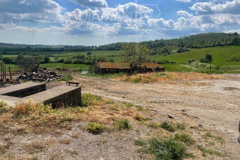 Farm i Valentano, Viterbo, Valentano - € 750.000 | Ref: AZ419 - foto 11