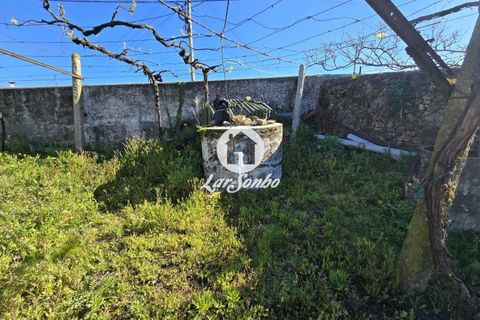 Tomt i Vila do Conde, Porto, Vila do Conde - € 92 000 | Ref: 240-T-26327 - foto 9