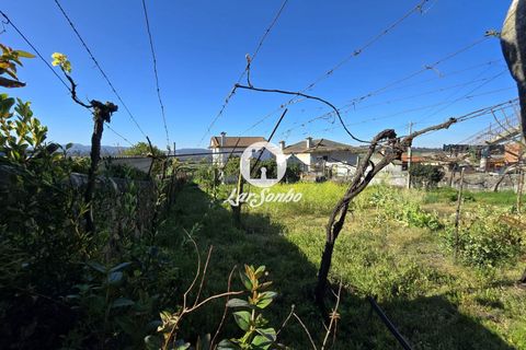 Tomt i Vila do Conde, Porto, Vila do Conde - € 92 000 | Ref: 240-T-26327 - foto 13
