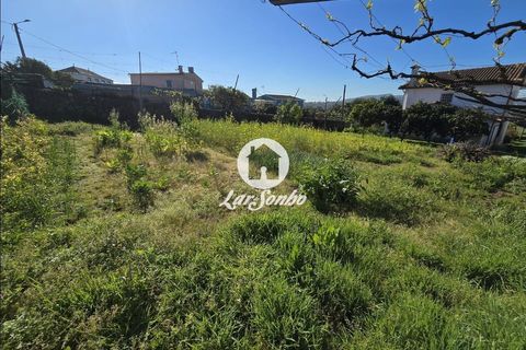 Tomt i Vila do Conde, Porto, Vila do Conde - € 92 000 | Ref: 240-T-26327 - foto 15