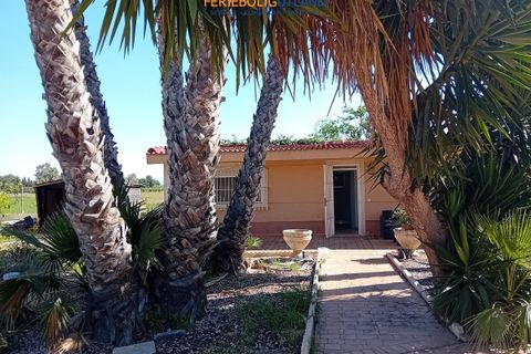 Villa i Dolores, Alicante, Dolores - € 375.000 | Ref: FBU21565 - foto 26