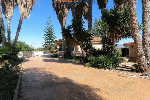 Villa i Dolores, Alicante, Dolores - € 375.000 | Ref: FBU21565 - foto 41