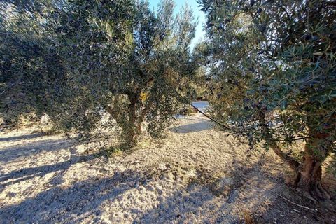 Villa i Calasparra, Murcia, Calasparra - € 190.000 | Ref: AG19MLSC3779973 - foto 19
