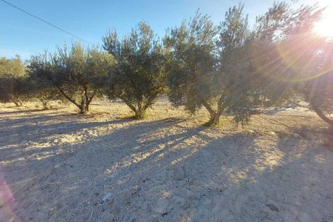 Villa i Calasparra, Murcia, Calasparra - € 190.000 | Ref: AG19MLSC3779973 - foto 20